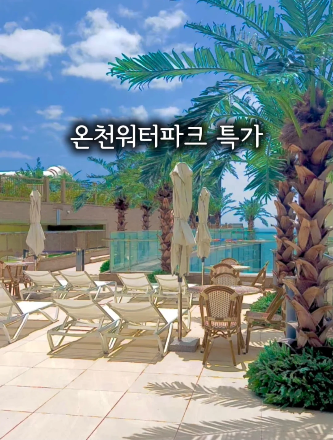 과일 요거트 케이크 1