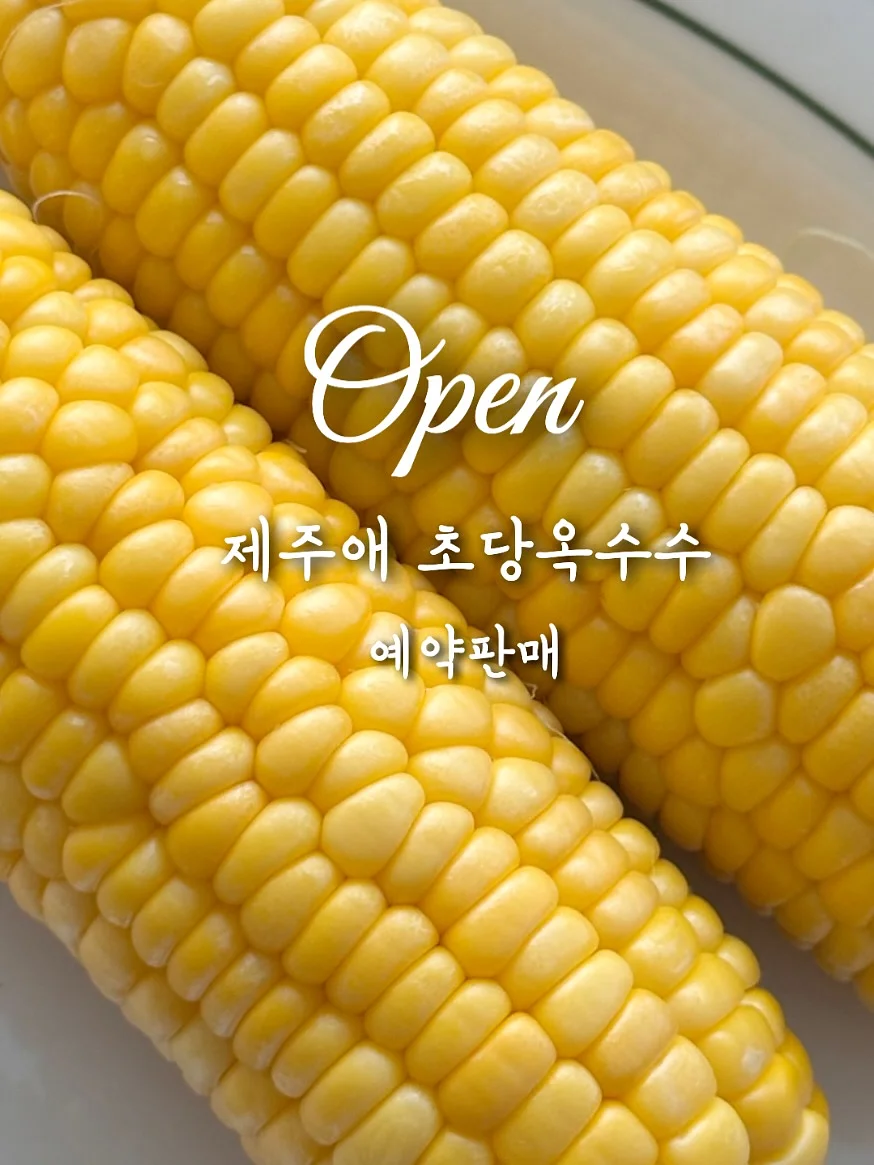 SNS 계정 키우기 가이드북 1