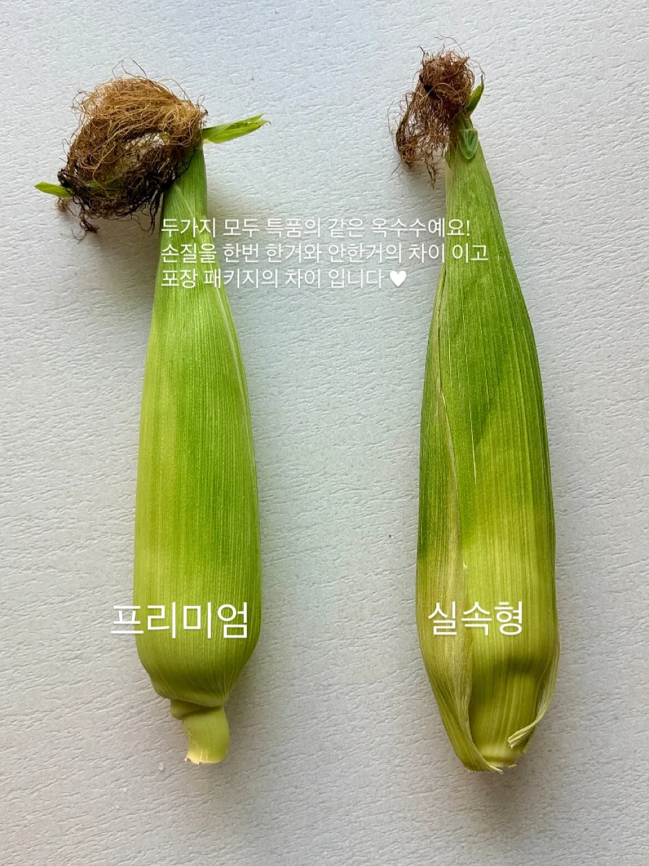 SNS 계정 키우기 가이드북 5