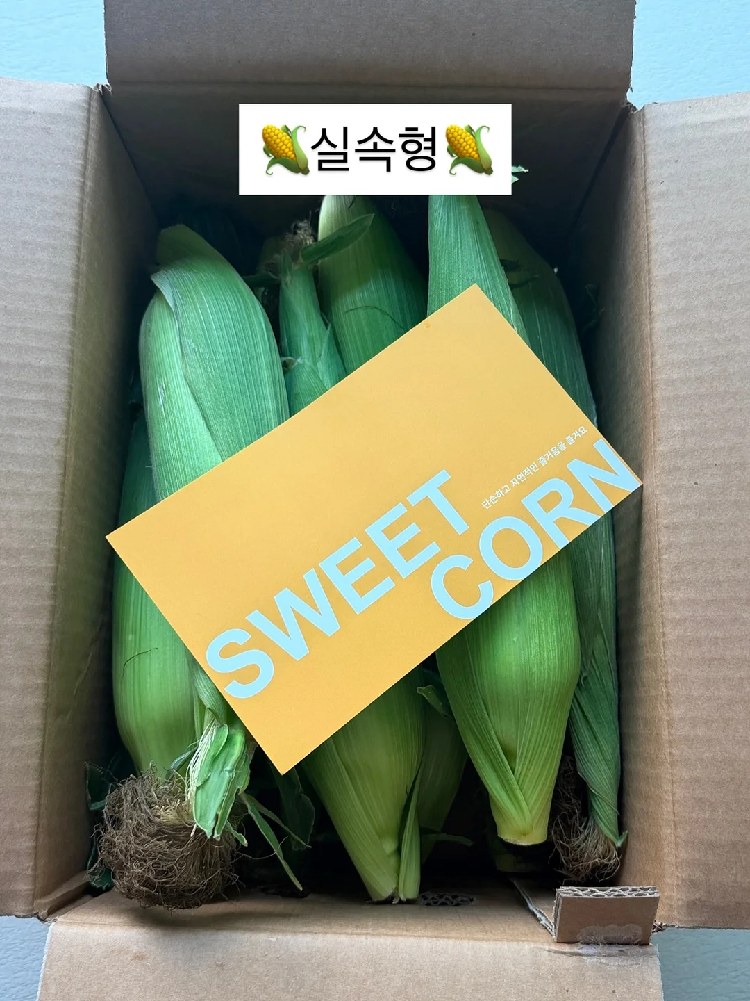 SNS 계정 키우기 가이드북 7