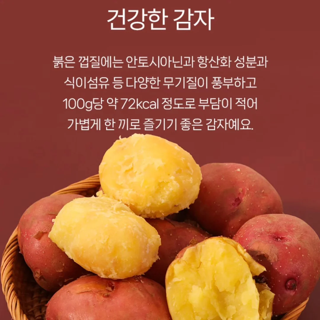 타공판 놀이 세트 2