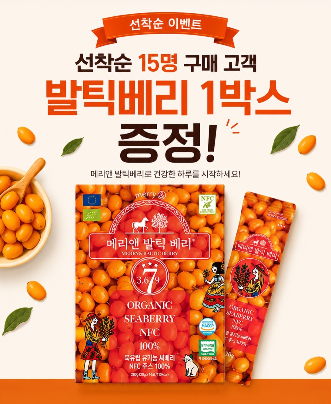 스크럽대디 디쉬 대디 클리닝 스틱 실버 번들 세트 3