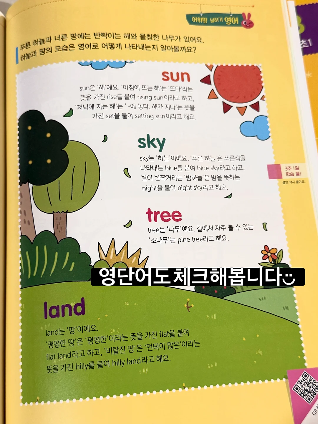 딥브이넥 니트 5