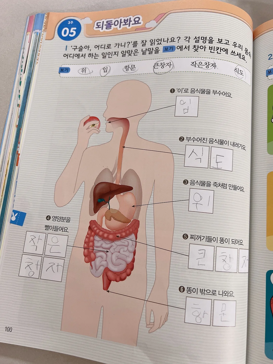 딥브이넥 니트 8