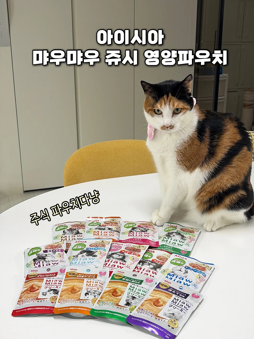 벤더창업과 AI 팀원 무료 라이브 1