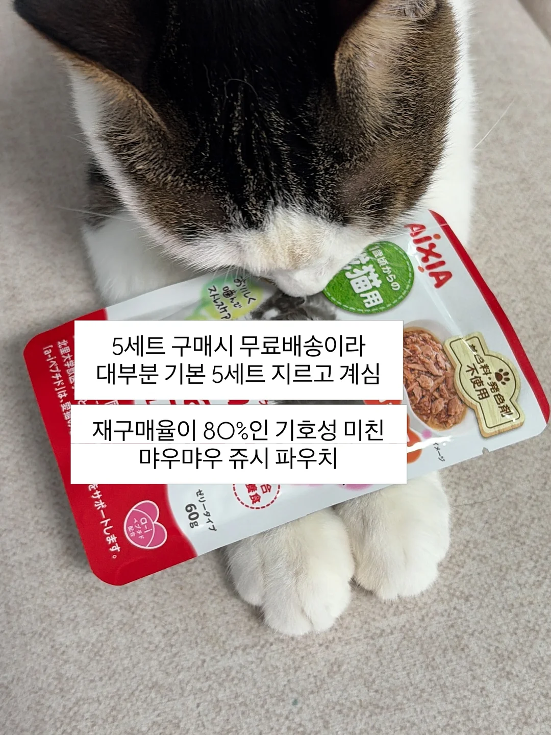 벤더창업과 AI 팀원 무료 라이브 2