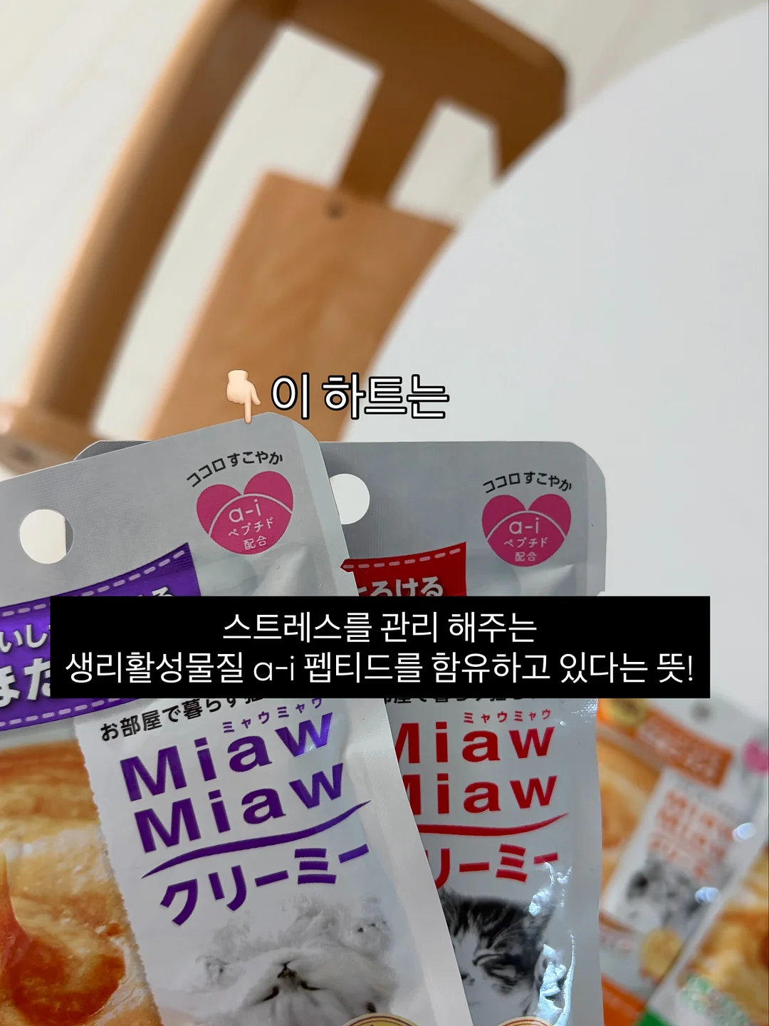 벤더창업과 AI 팀원 무료 라이브 4
