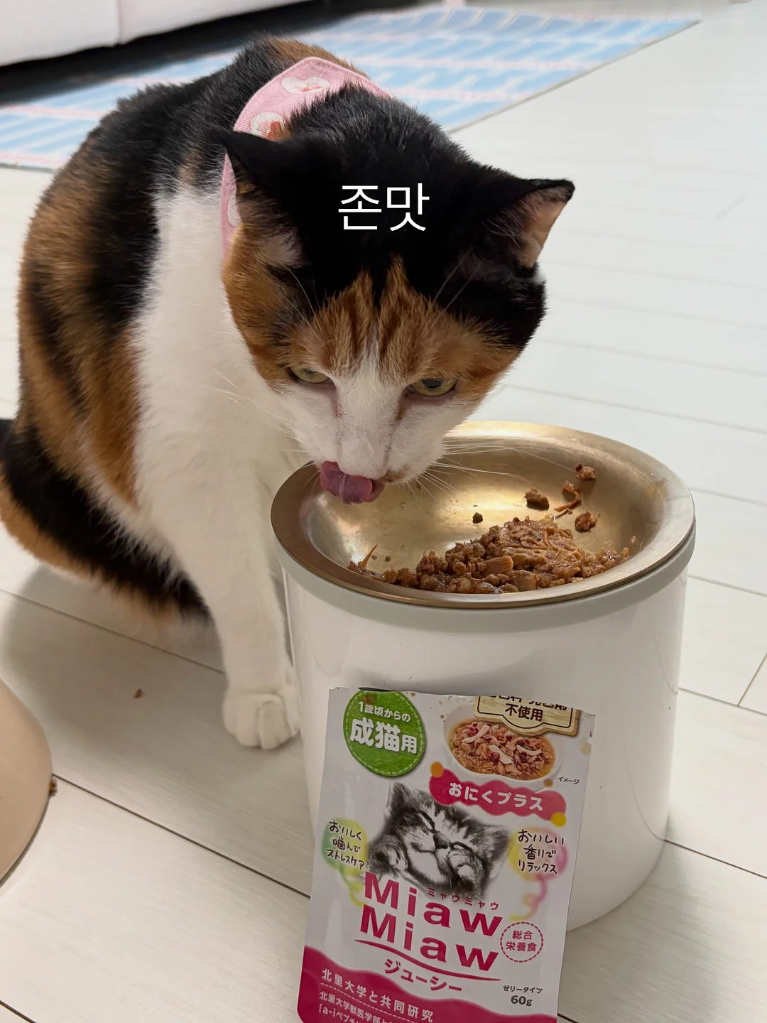 벤더창업과 AI 팀원 무료 라이브 5