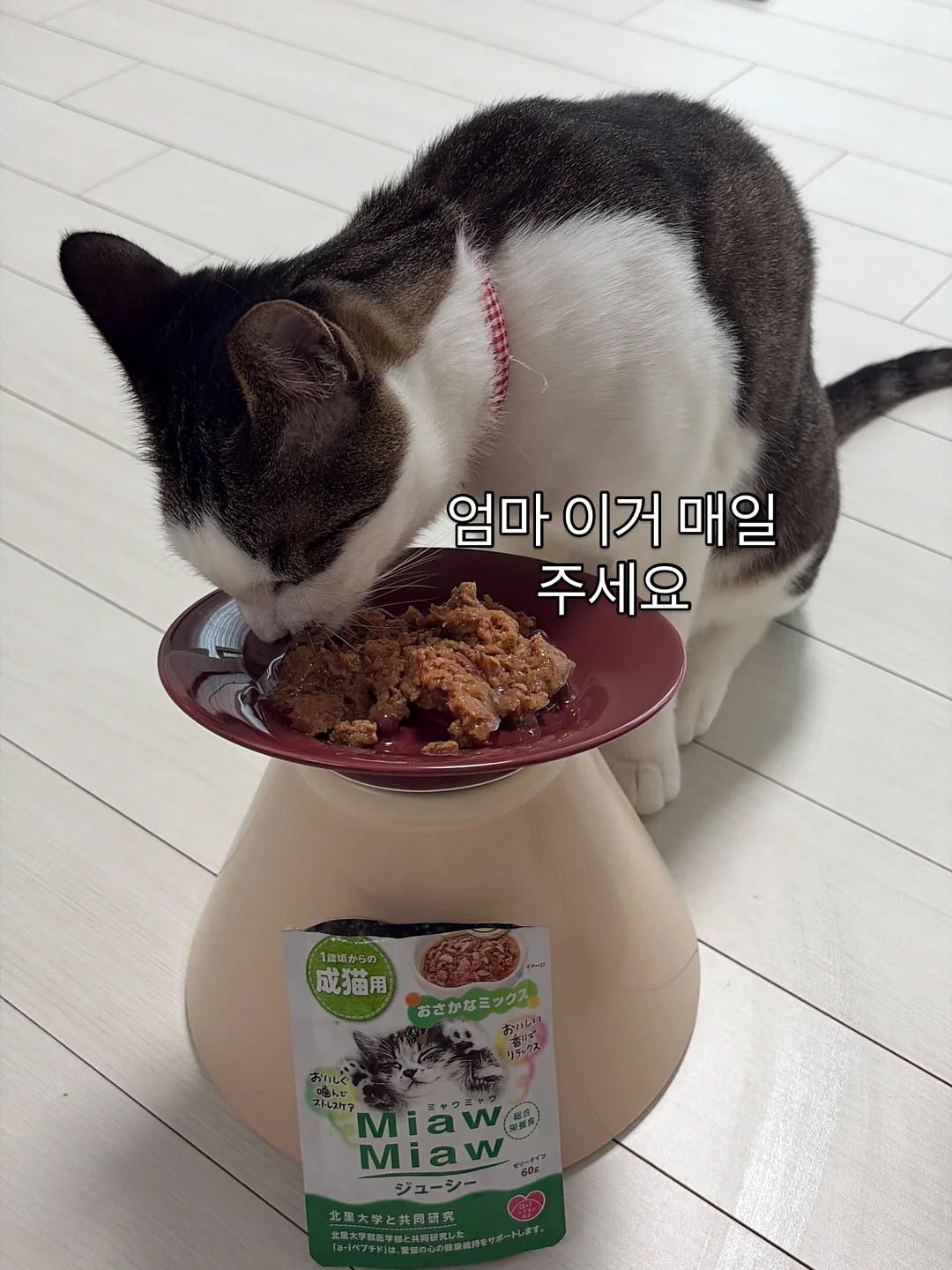 벤더창업과 AI 팀원 무료 라이브 6