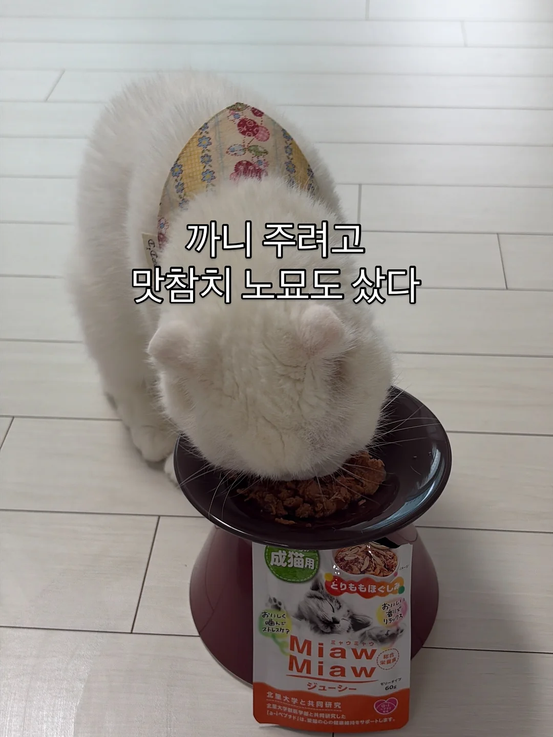 벤더창업과 AI 팀원 무료 라이브 7