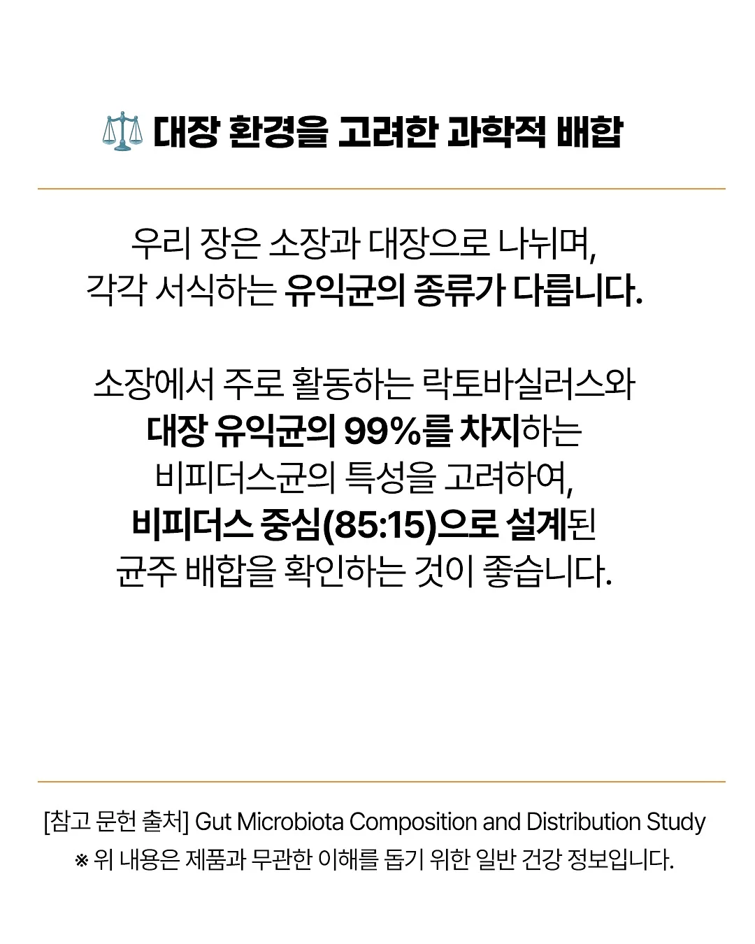부채 4