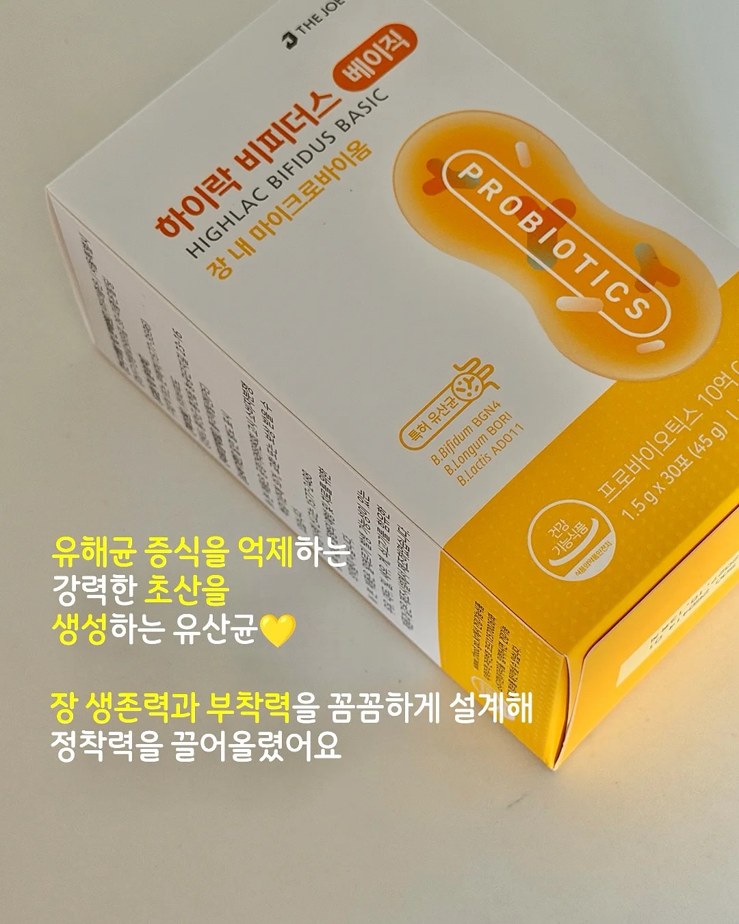 부채 10