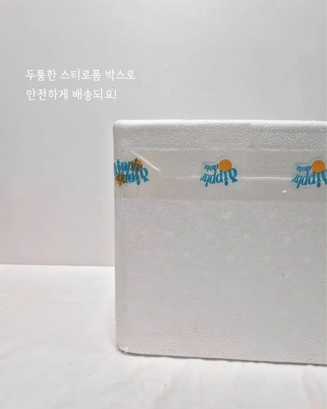 정글짐 9
