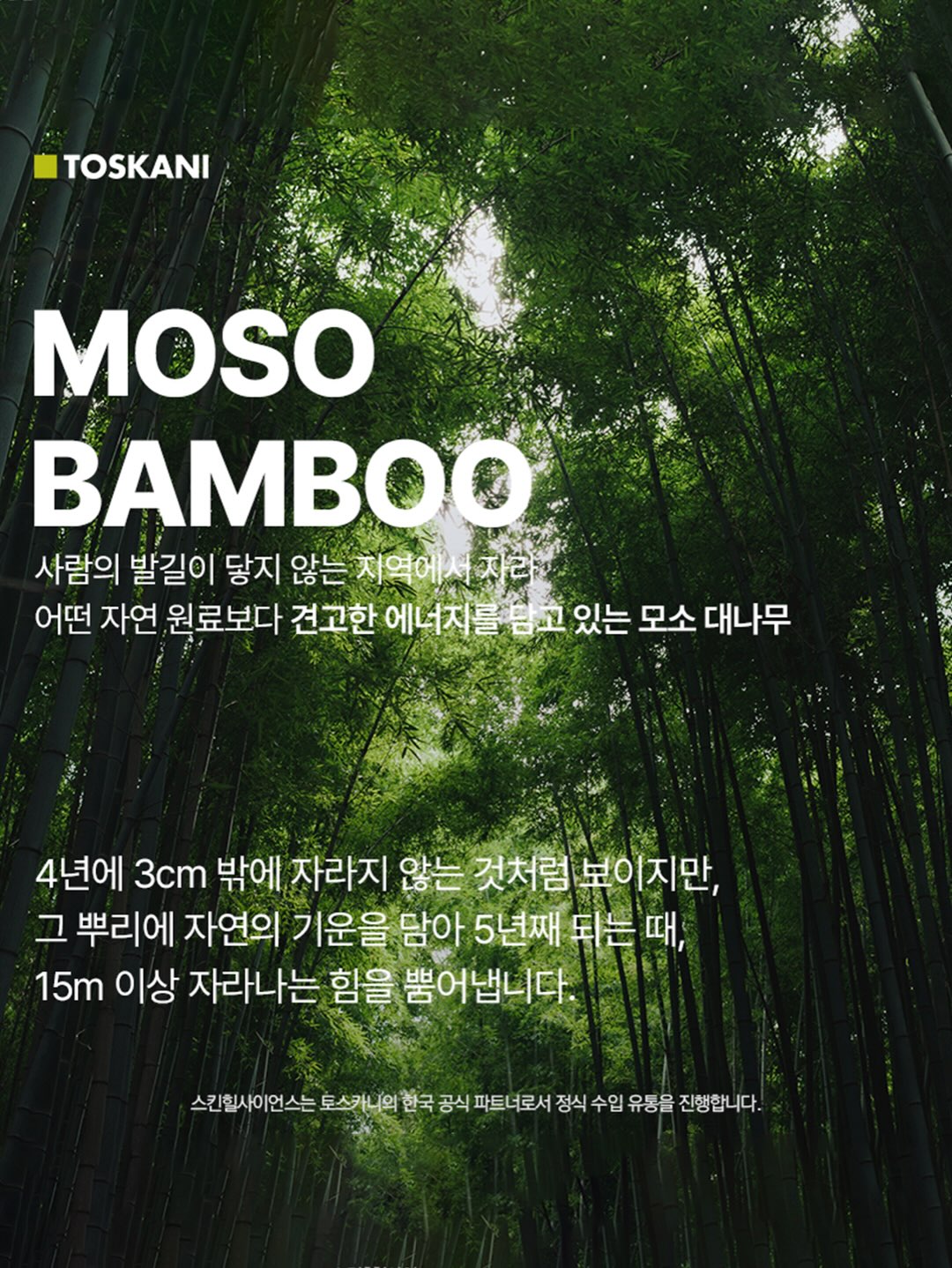 비트 몬스터 팟 신제품 11