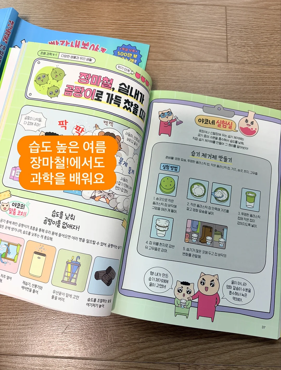 여름 신상 11