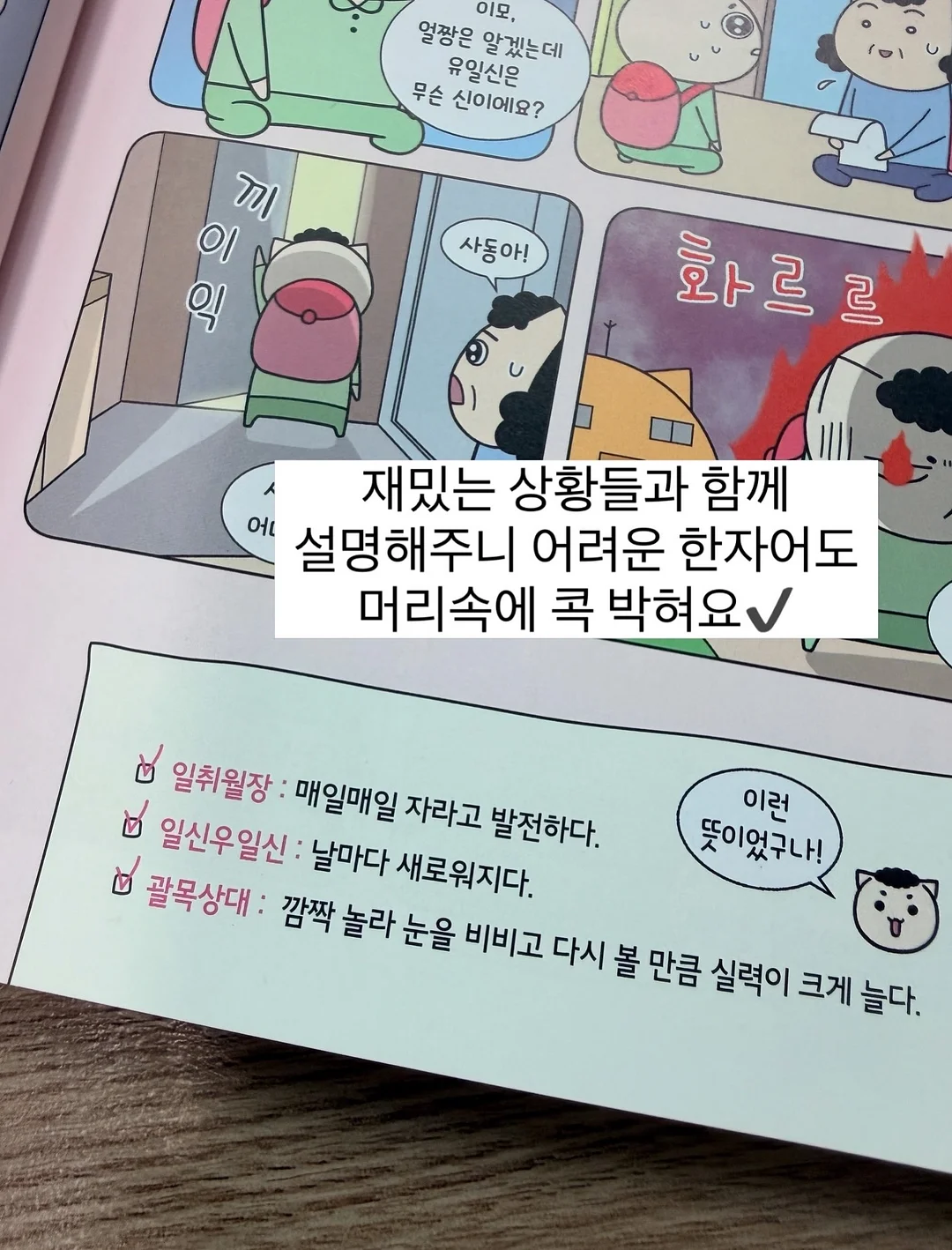 여름 신상 14