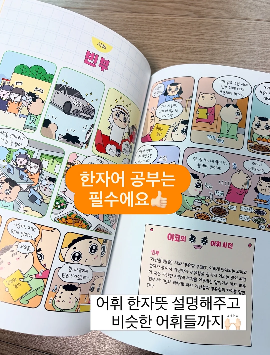 여름 신상 15