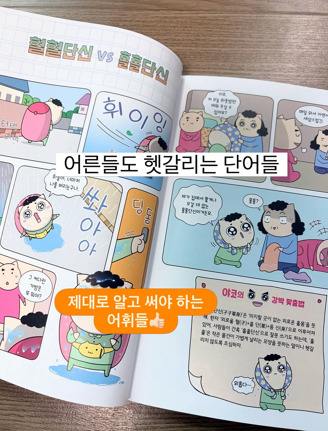 여름 신상 16