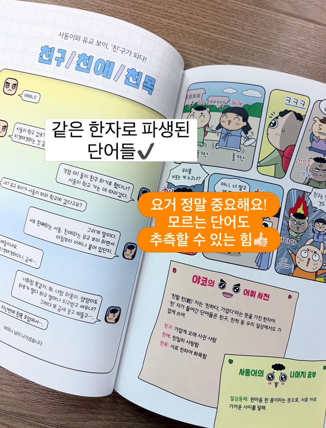 여름 신상 17