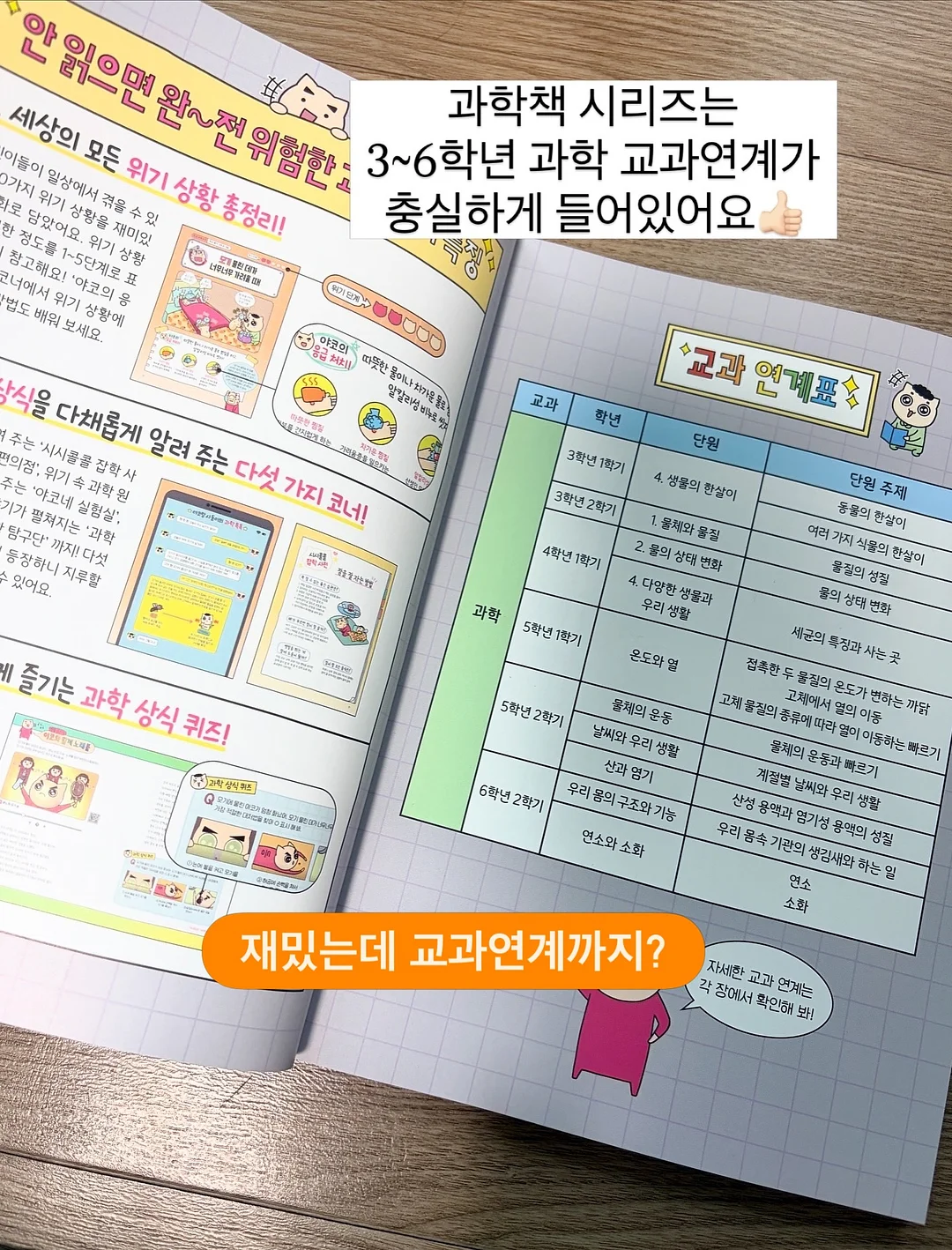 여름 신상 2