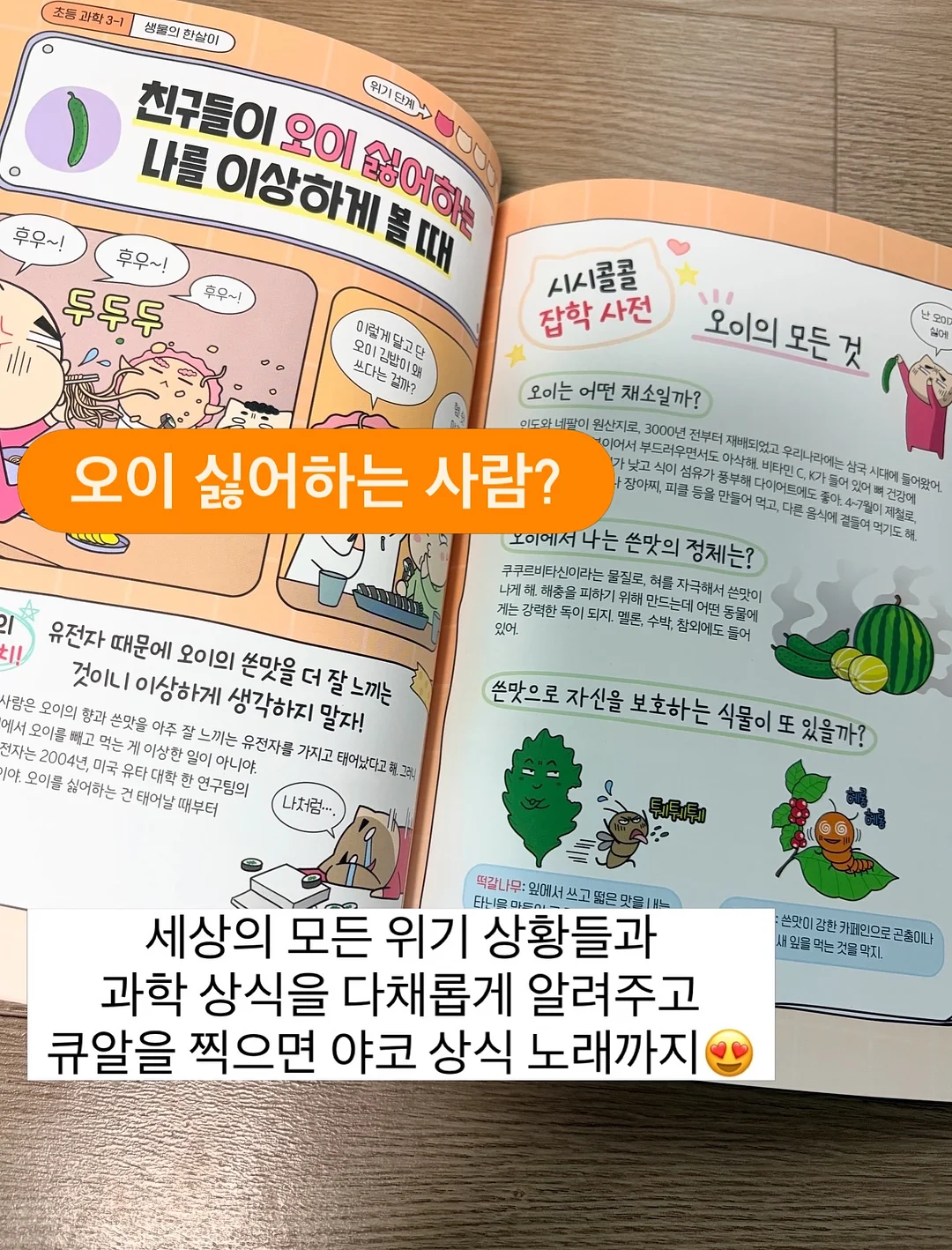 여름 신상 3