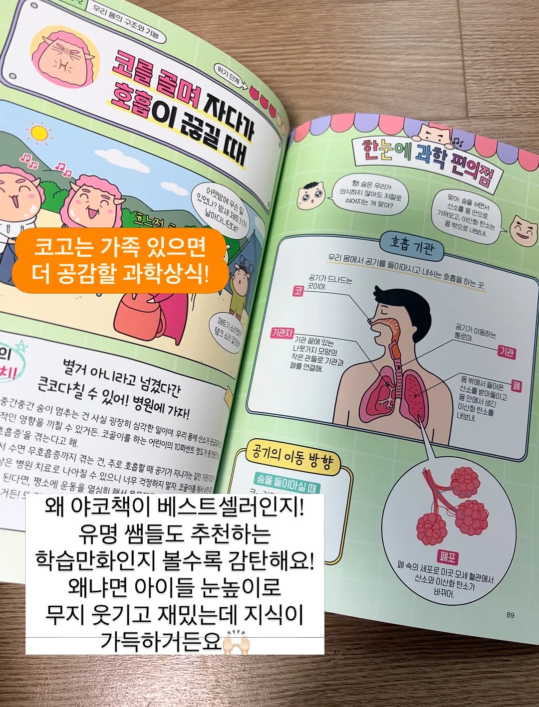 여름 신상 4
