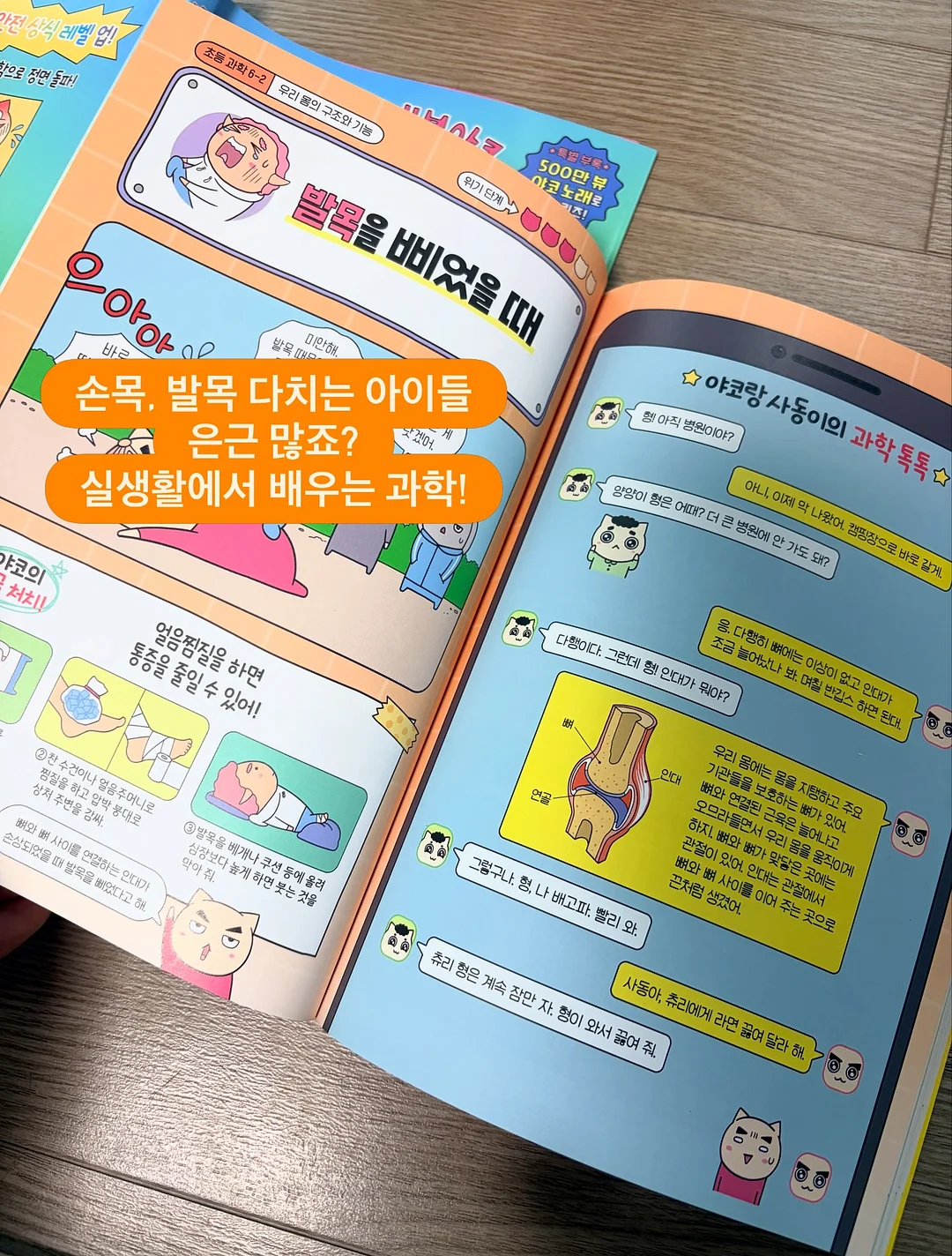 여름 신상 6