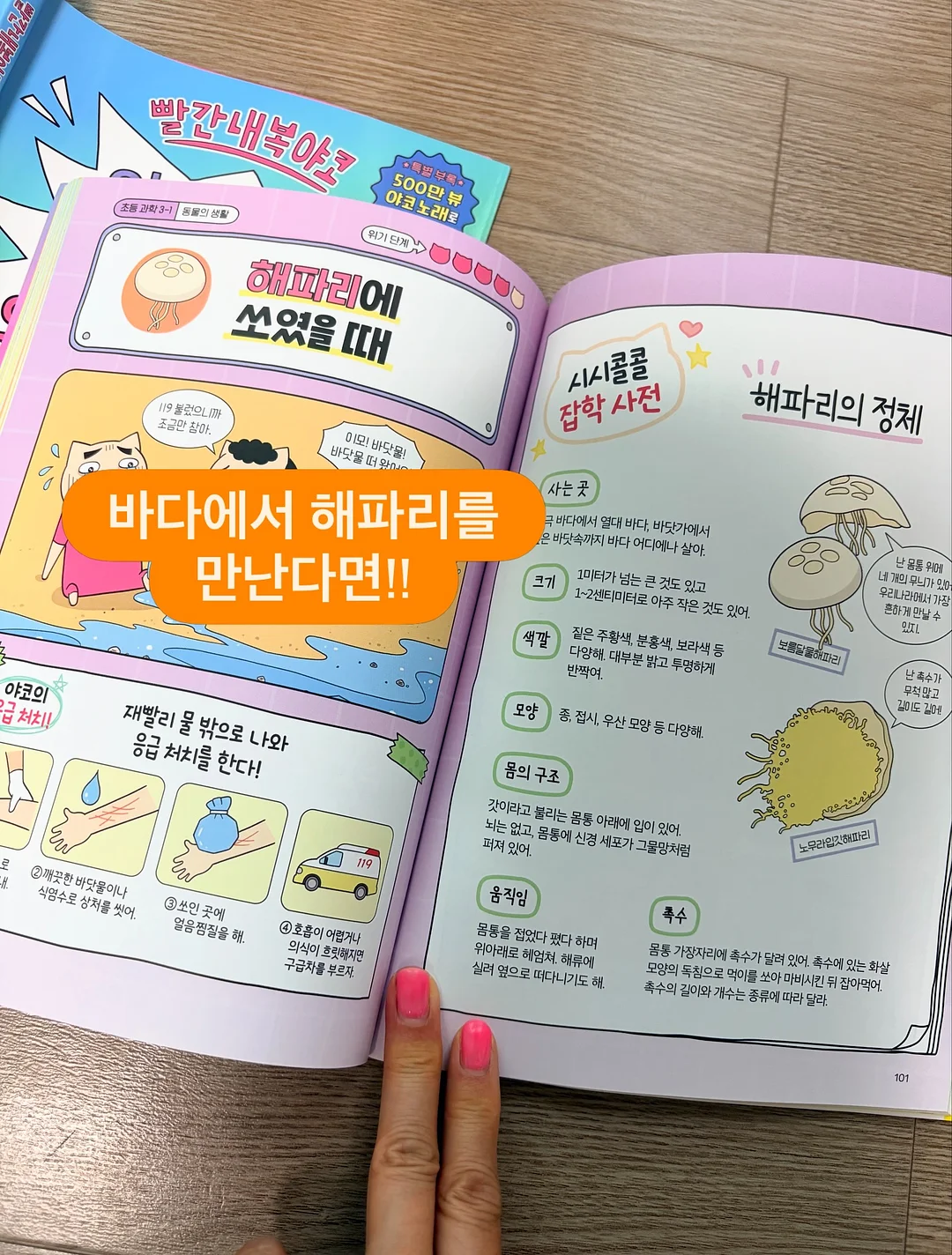 여름 신상 7