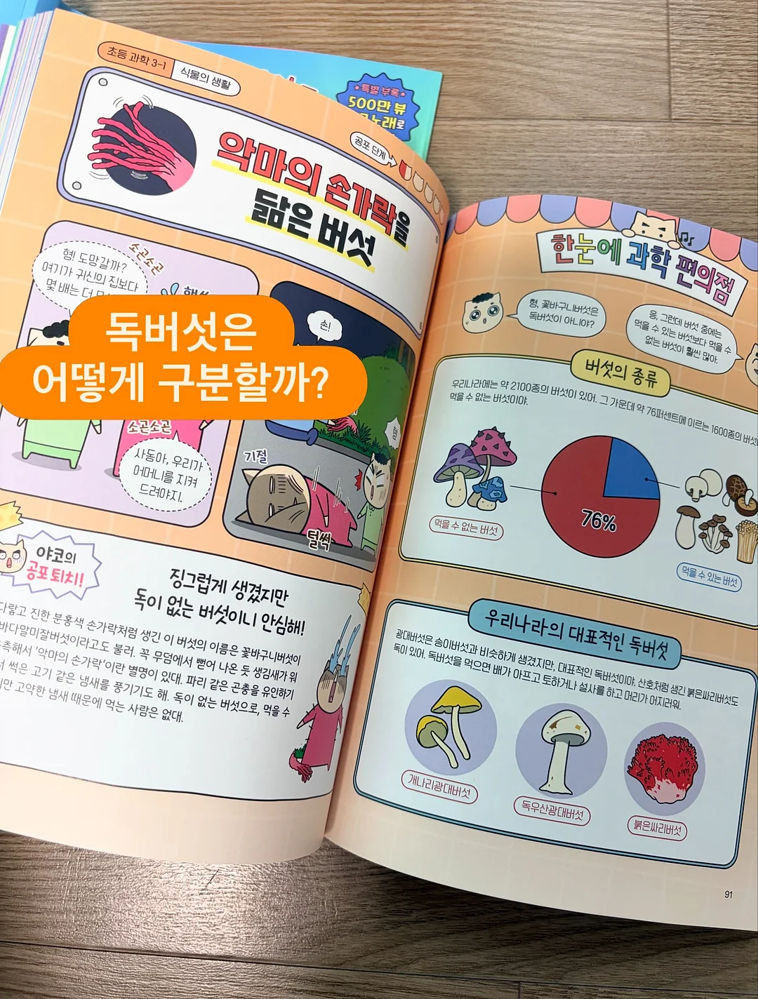 여름 신상 8