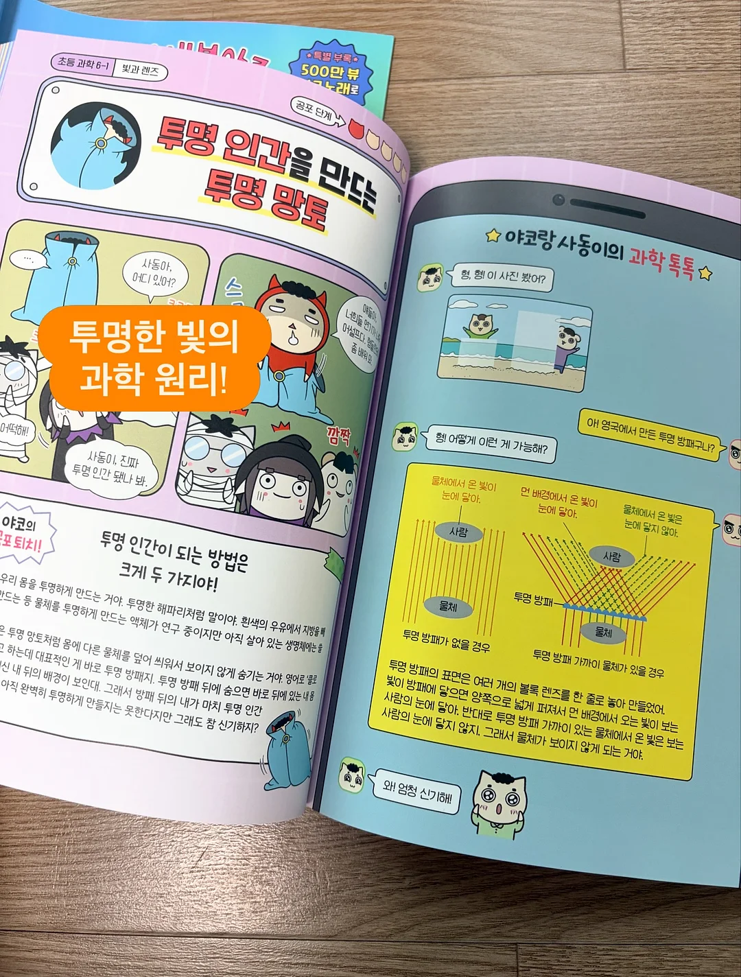 여름 신상 9