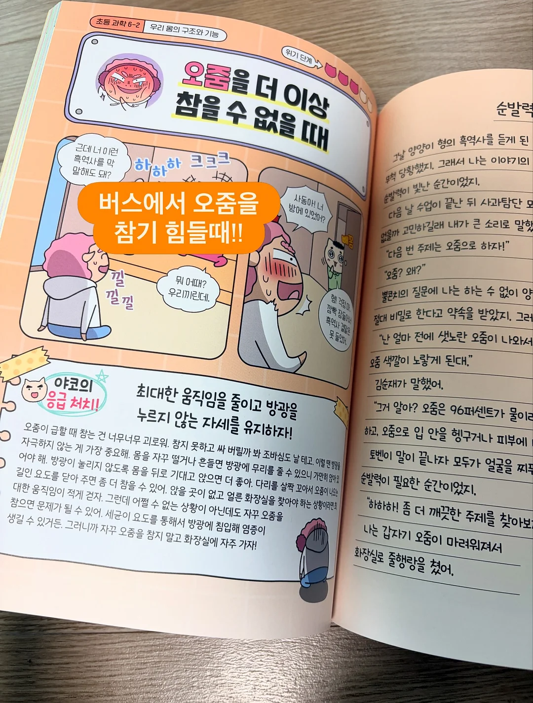 여름 신상 10