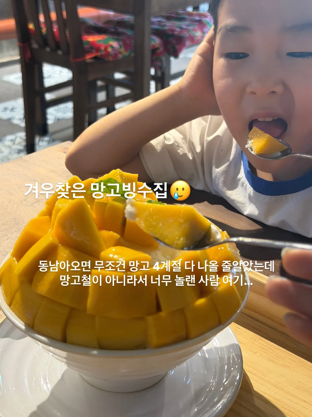 위티미티 하트 유청분리기 7