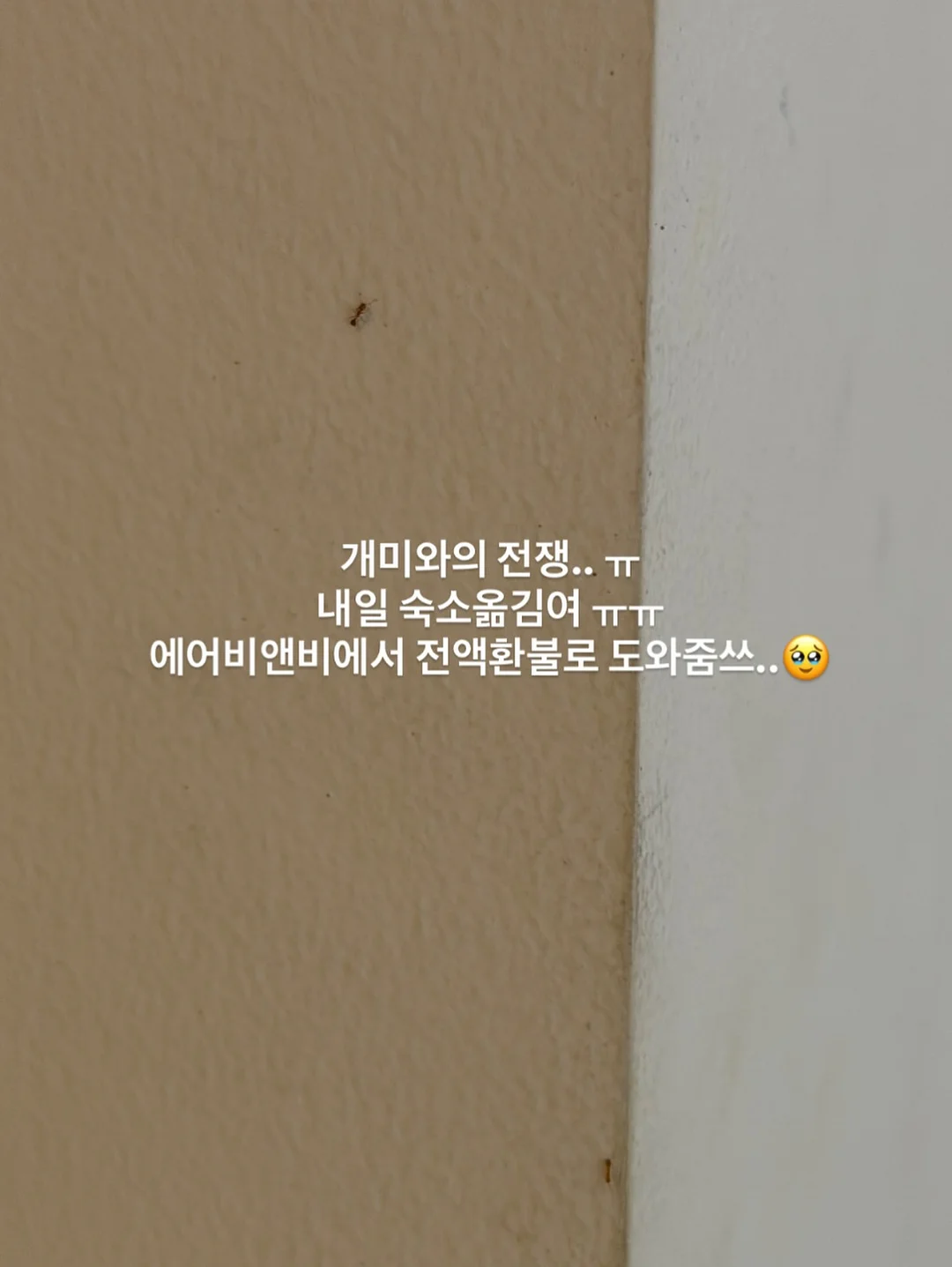 위티미티 하트 유청분리기 8