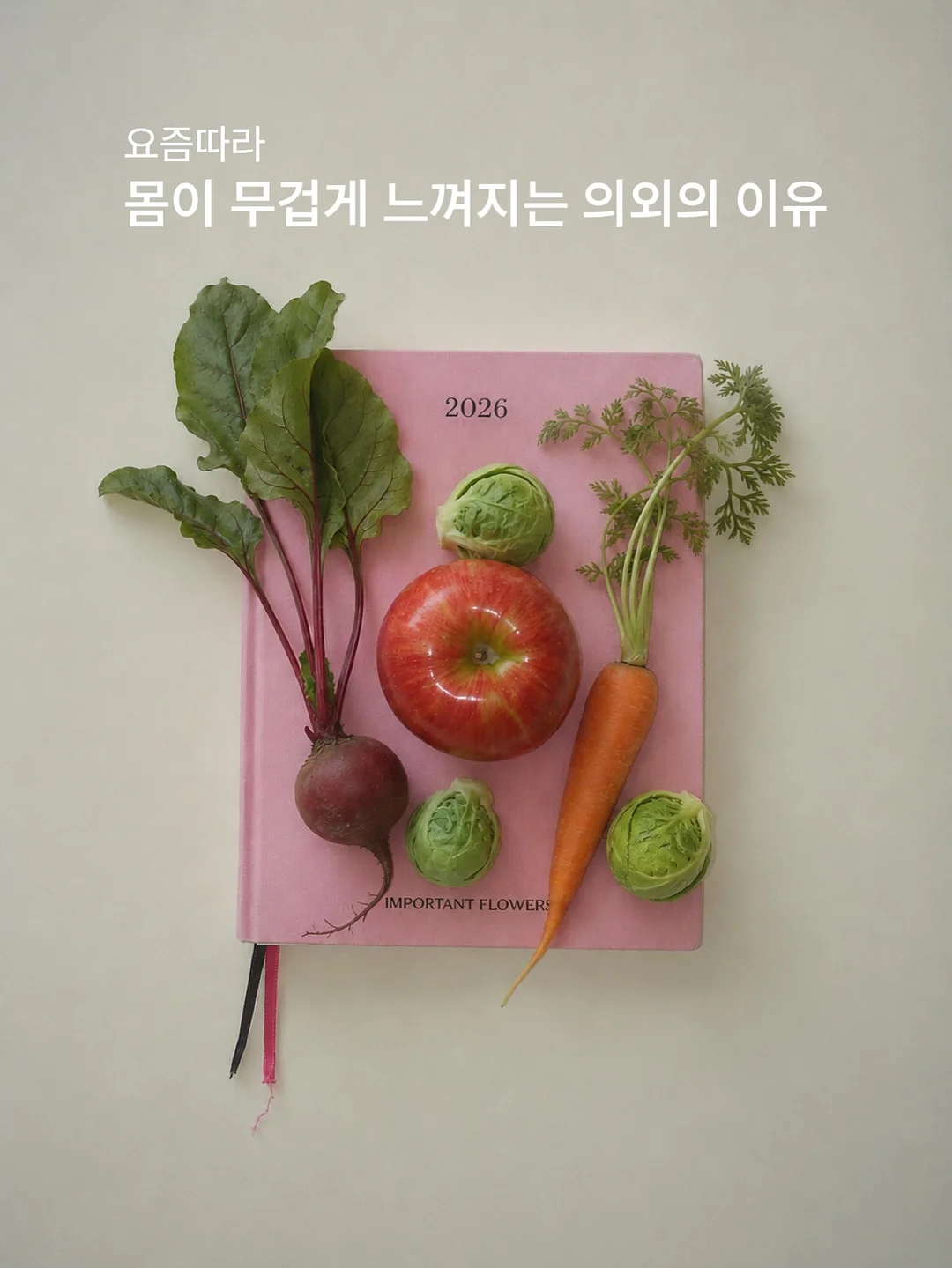 코코브라운 1