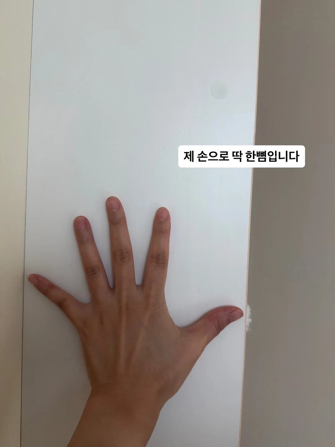모션데스크 3