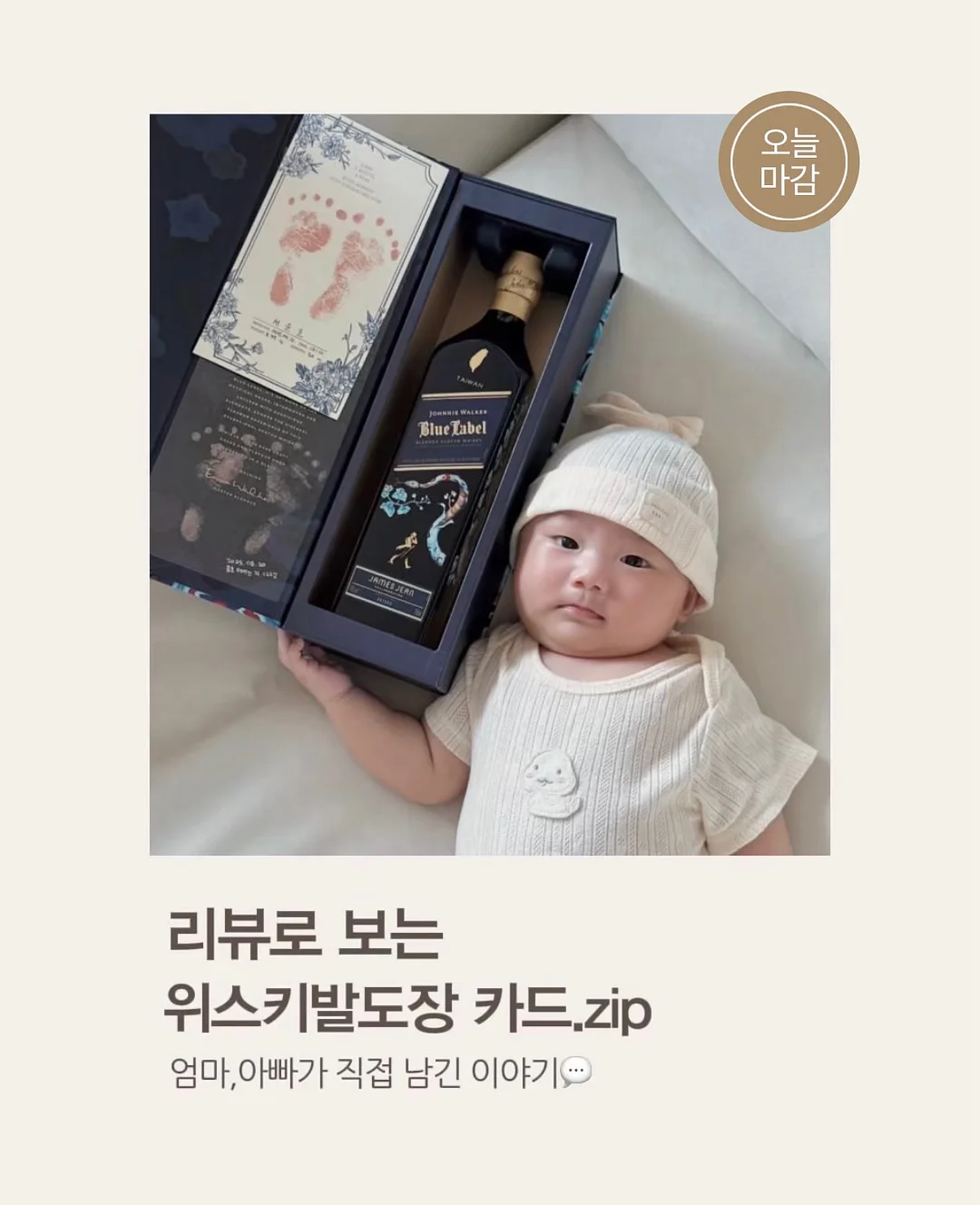 미야리산U 낙산균 1