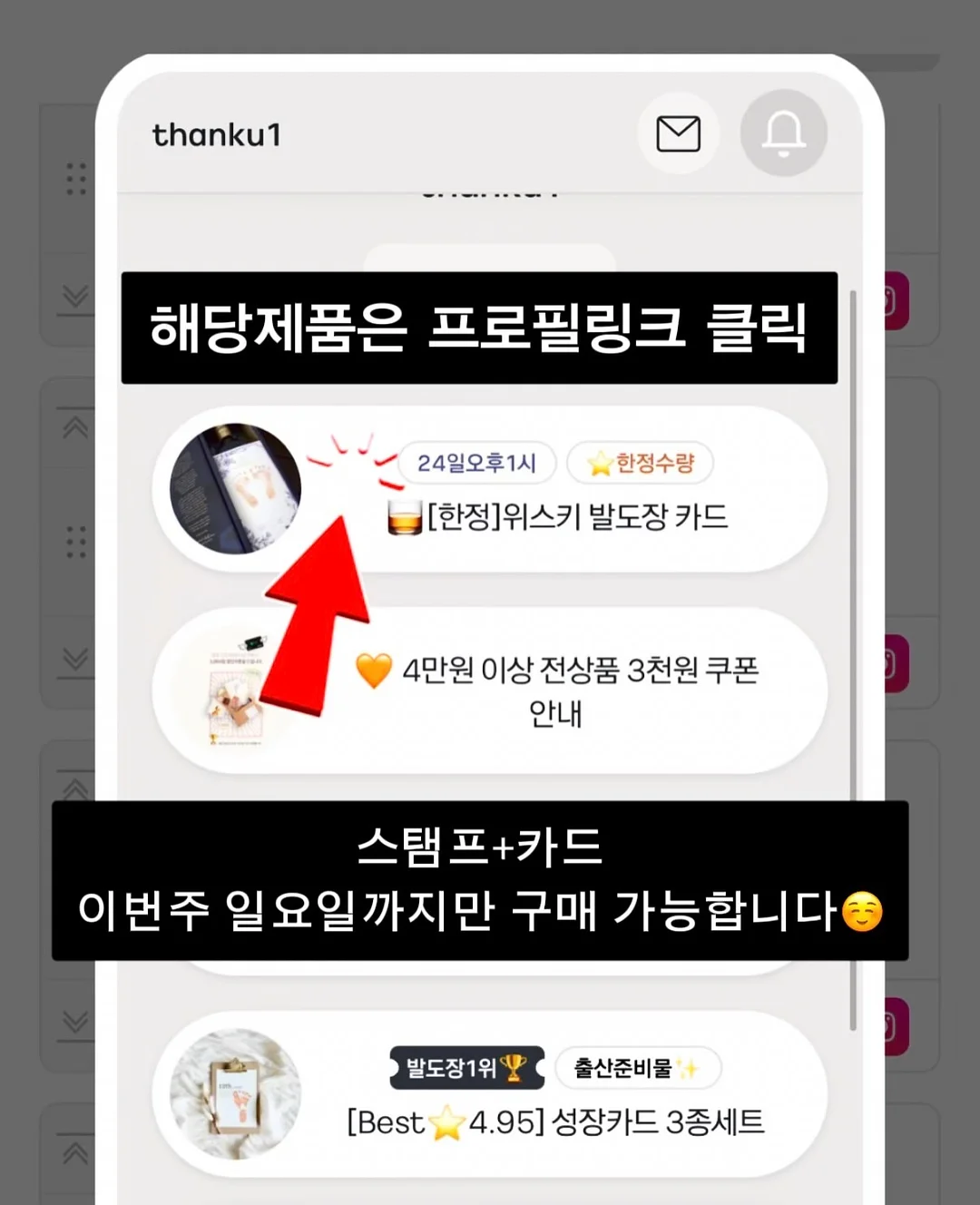 미야리산U 낙산균 7
