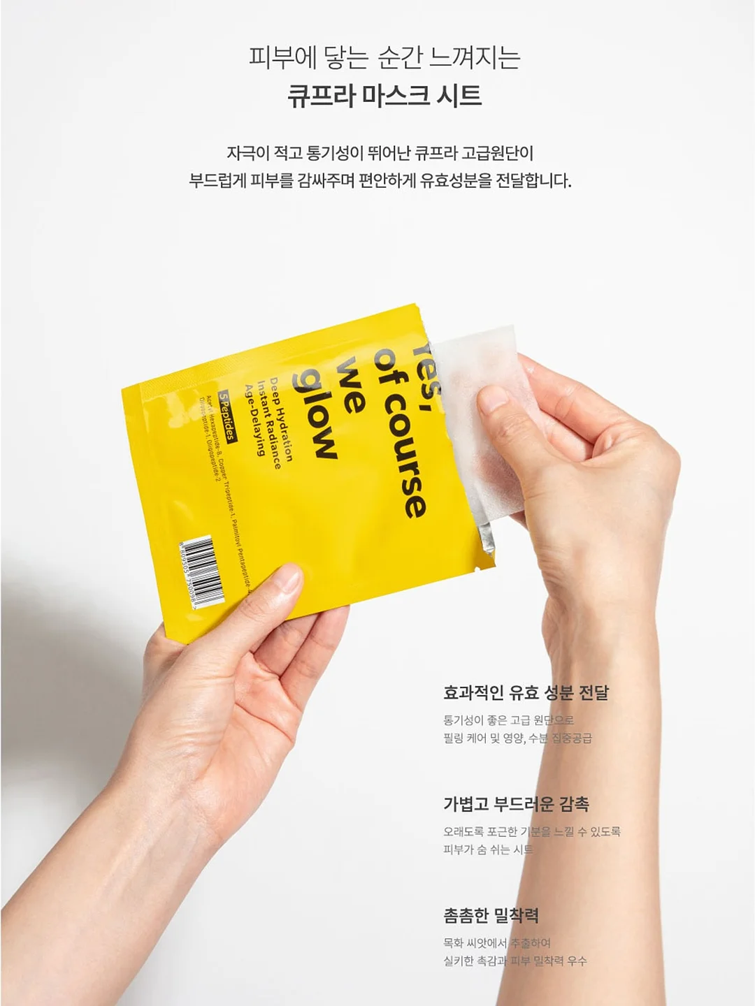 피조개회 5