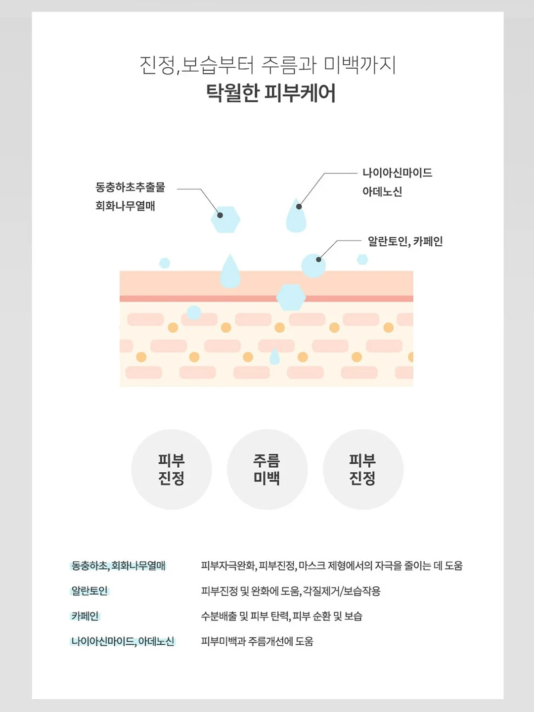 피조개회 6