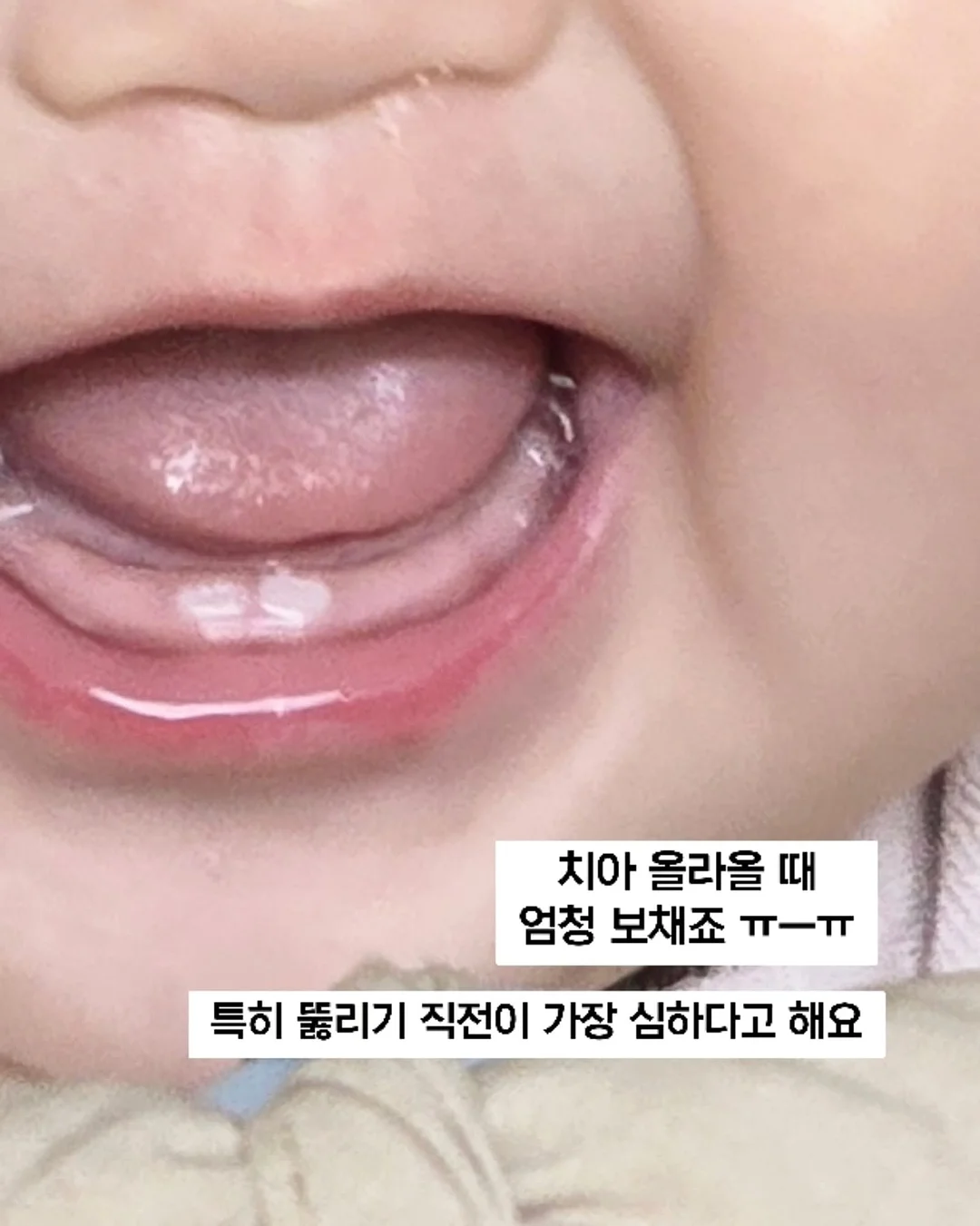 토코보 피니쉬 파우더 선쿠션 3