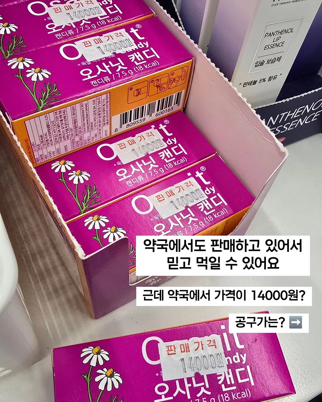 토코보 피니쉬 파우더 선쿠션 10