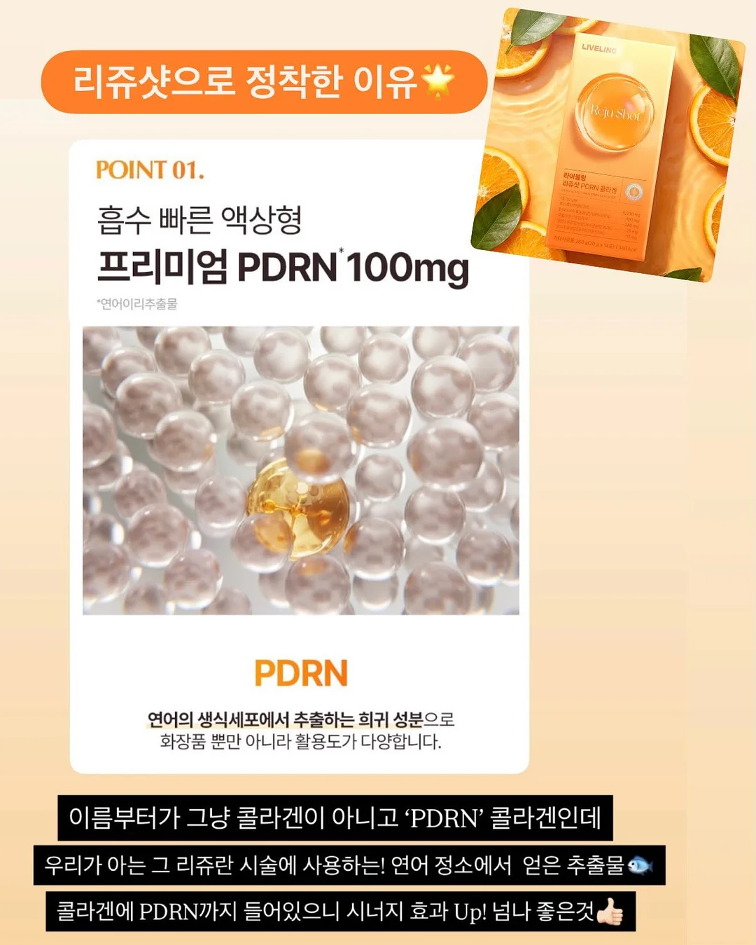 된장찌개 6