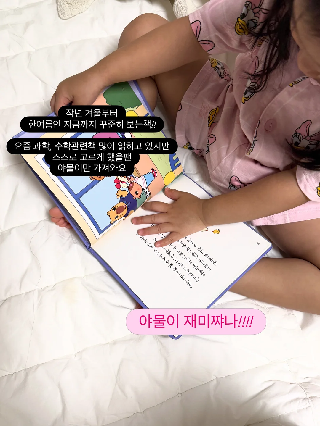 강아지 패턴 원단 13