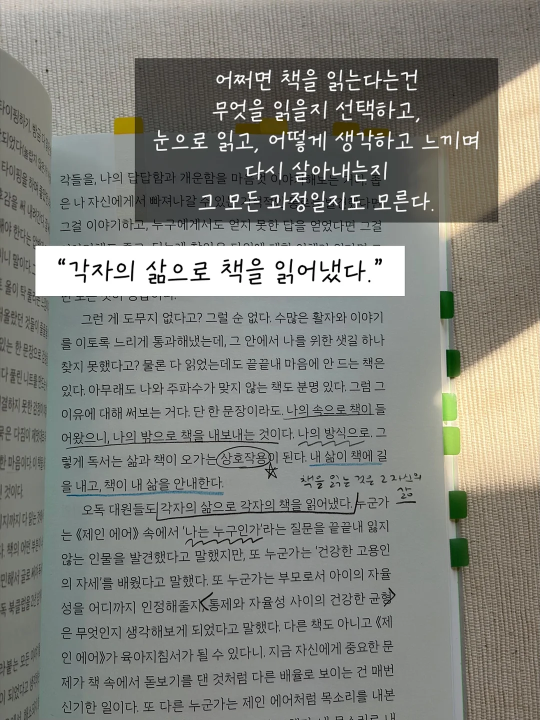 카프리프릴레깅스 4