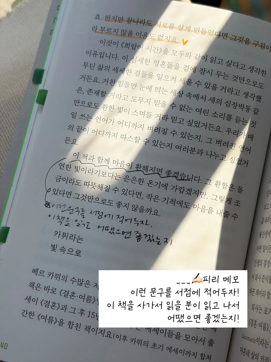 카프리프릴레깅스 5