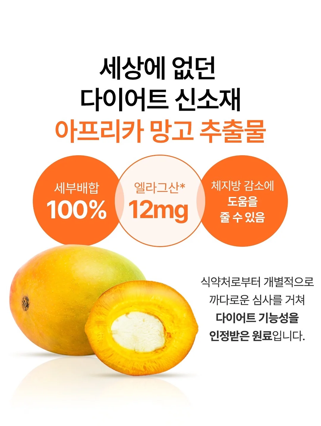 마지나타 2