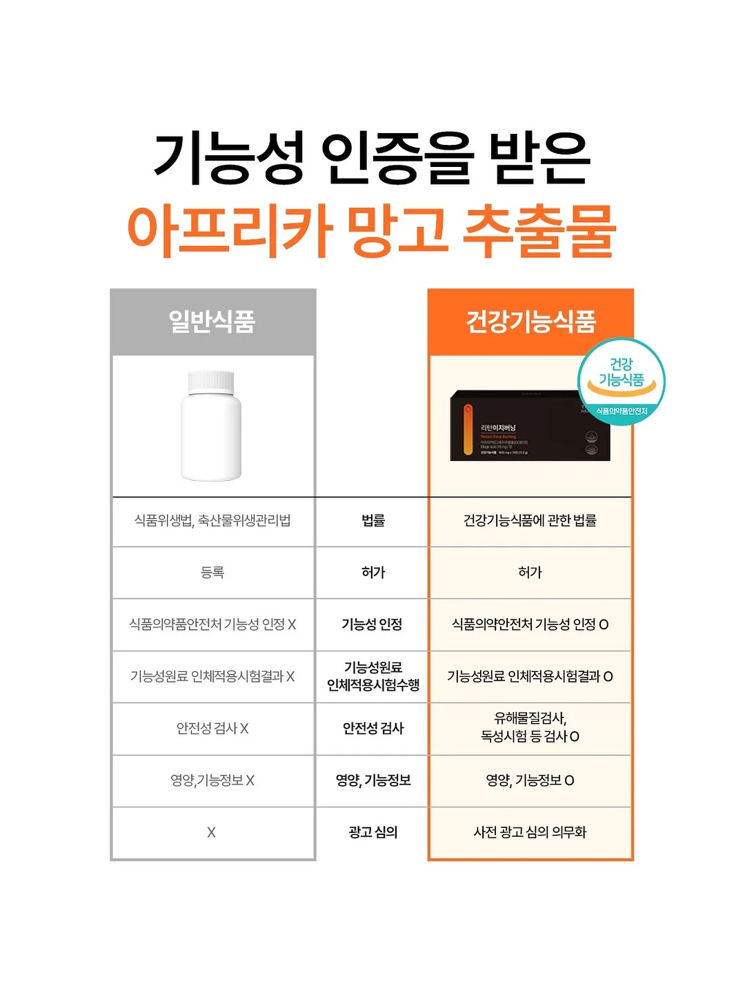 마지나타 6