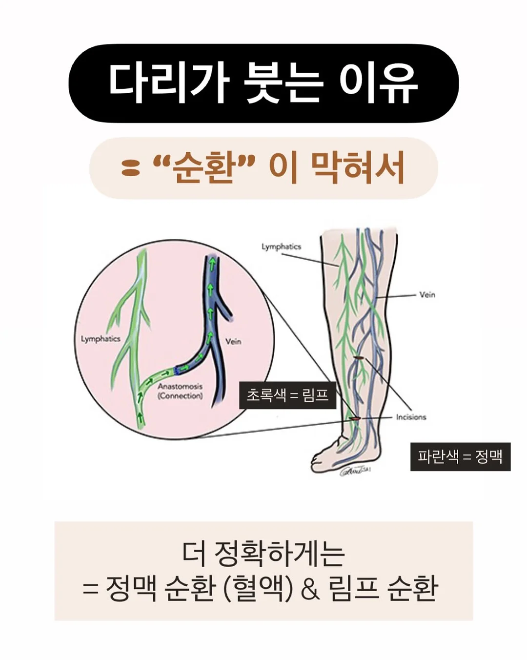 구달 맑은 어성초 진정 수분 선크림 9