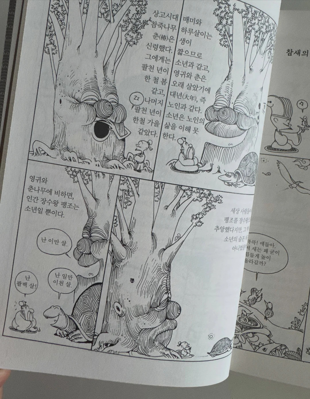 한우곰탕 12