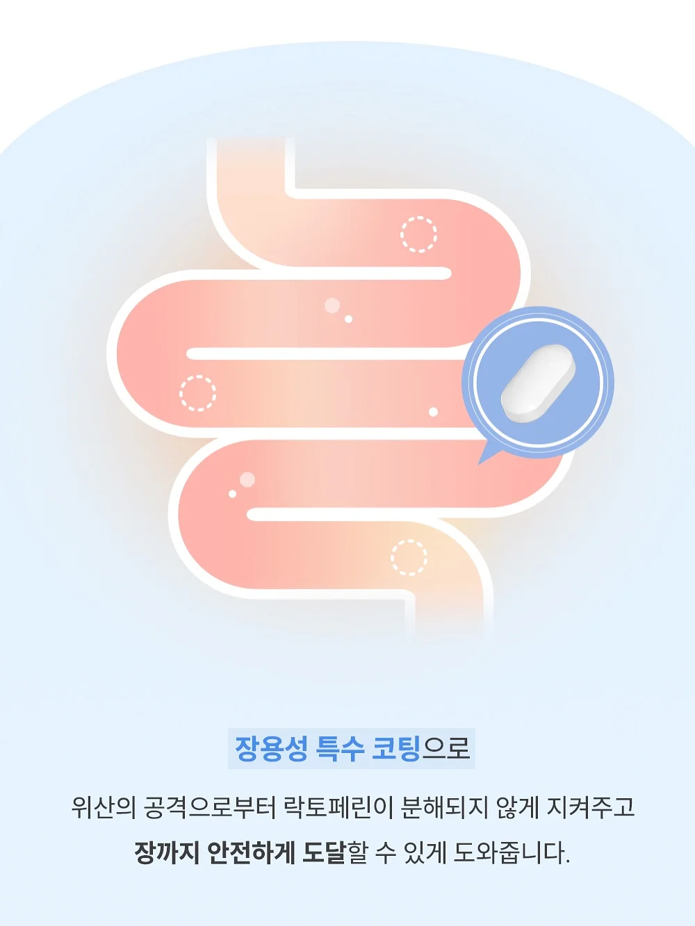 환갑 축하 케이크 11